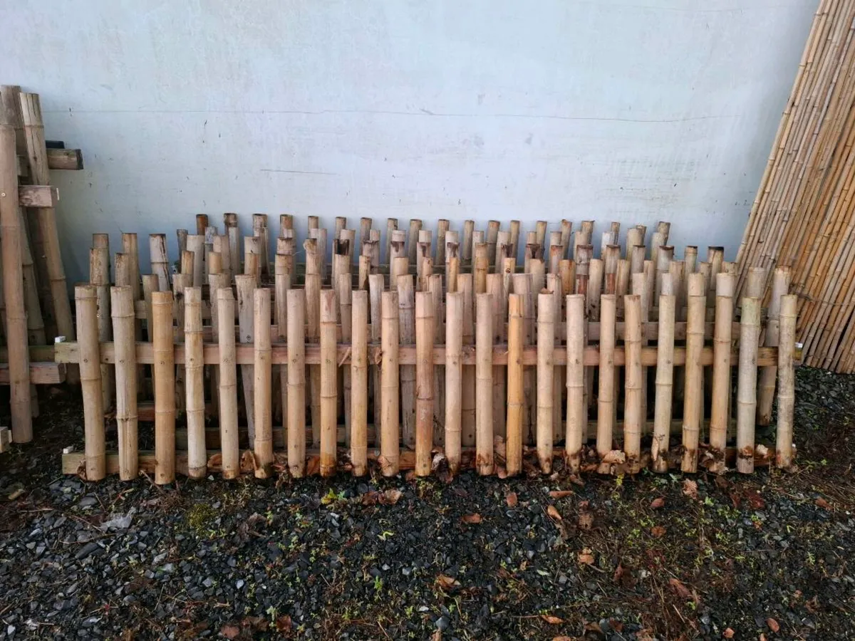 Bamboo fences - Image 2