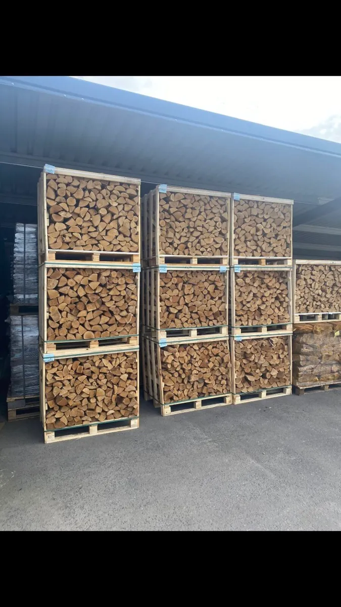 Wholesale Kiln Dried Birch / Oak Logs - Image 1
