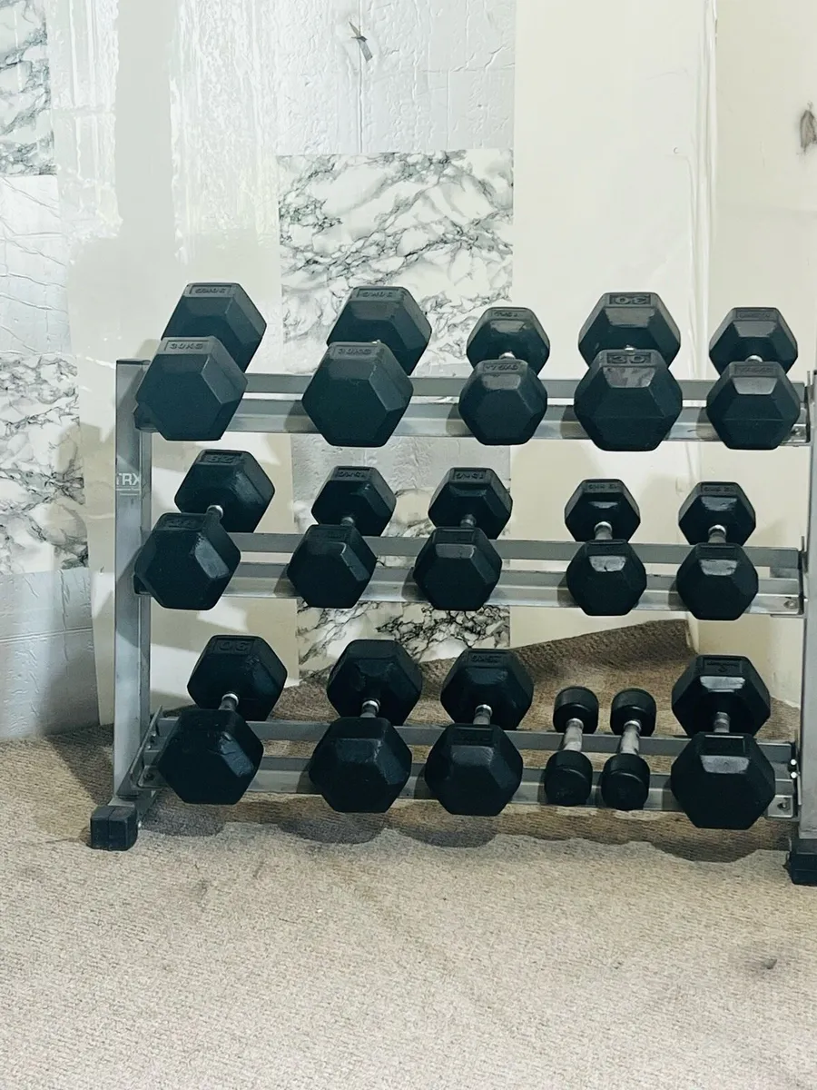 Hex DUMBBELLS WITH RACK - Image 2