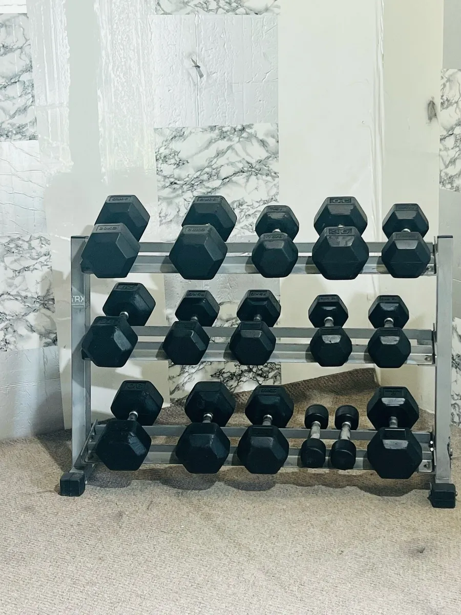Hex DUMBBELLS WITH RACK - Image 3