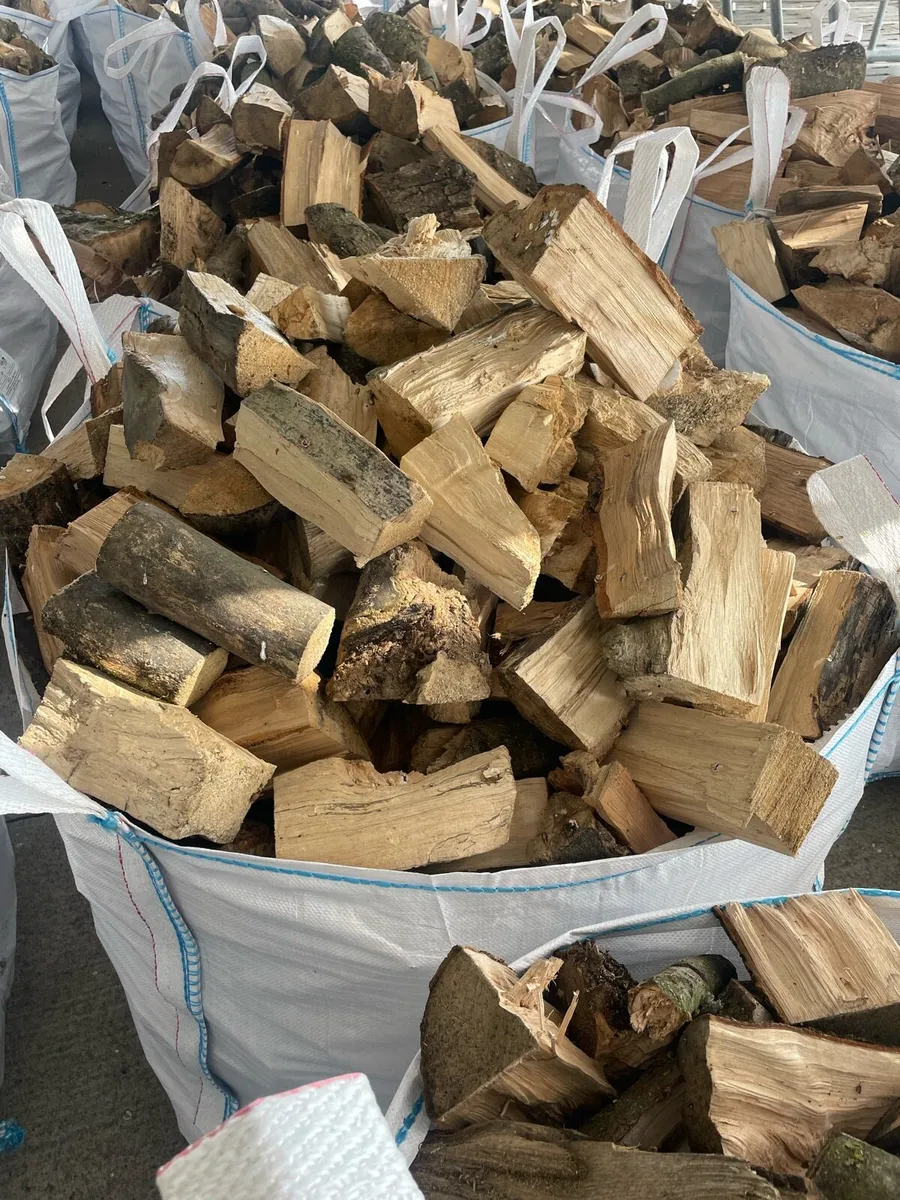 Firewood - Image 2