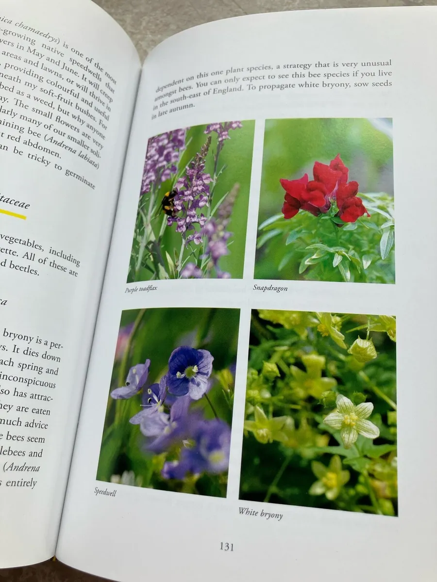 Gardening for Bumblebees book nature bees - Image 2