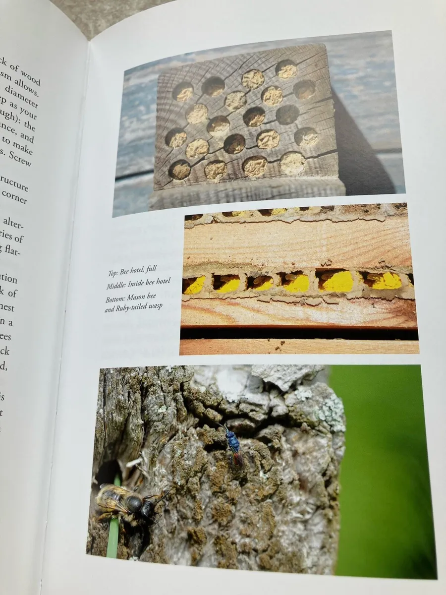 Gardening for Bumblebees book nature bees - Image 3