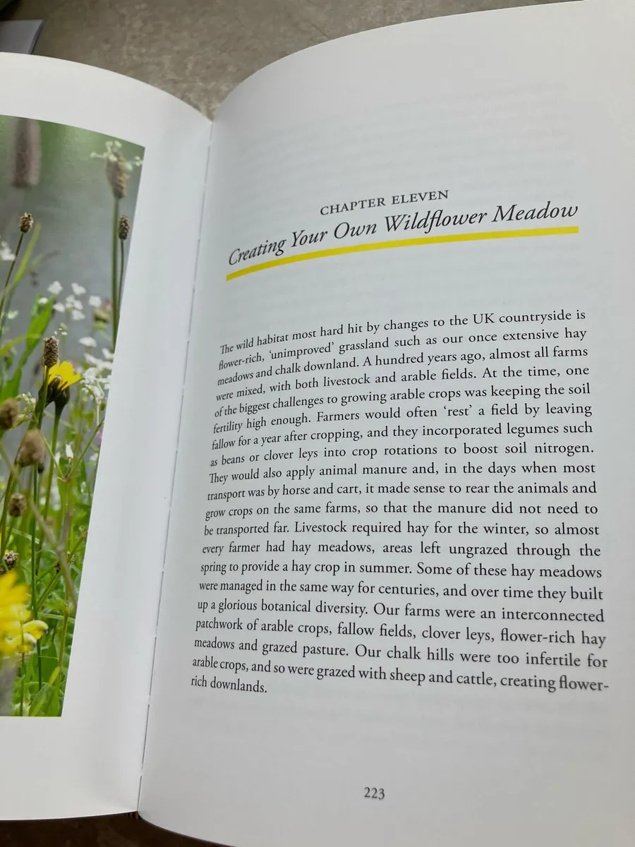 Gardening for Bumblebees book nature bees - Image 4