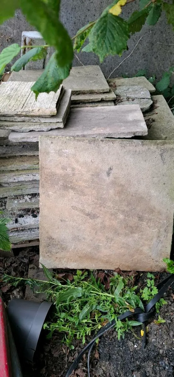 Lime stone - Image 4