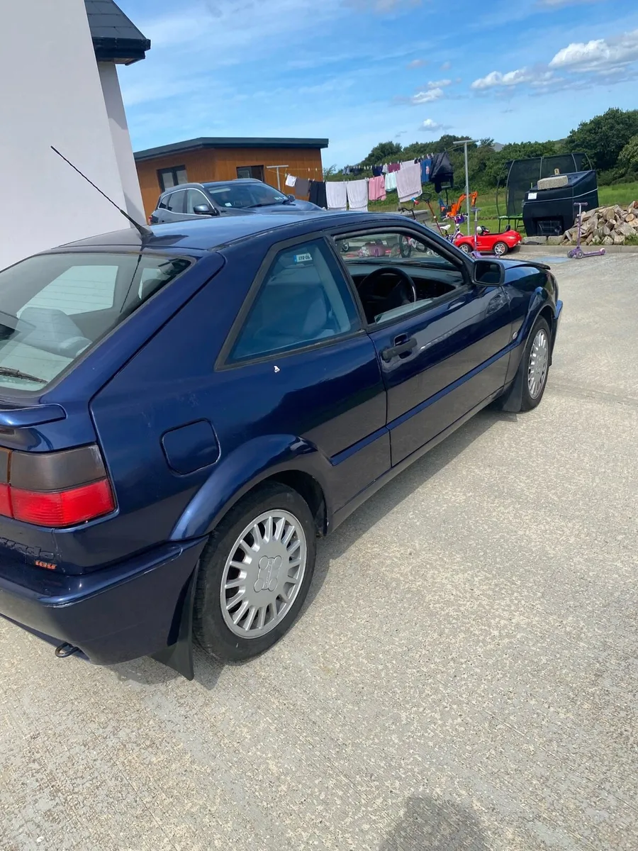 Corrado for sale - Image 2