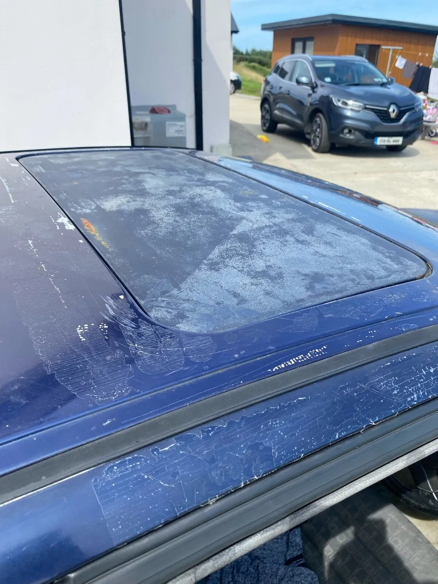 Corrado for sale - Image 3