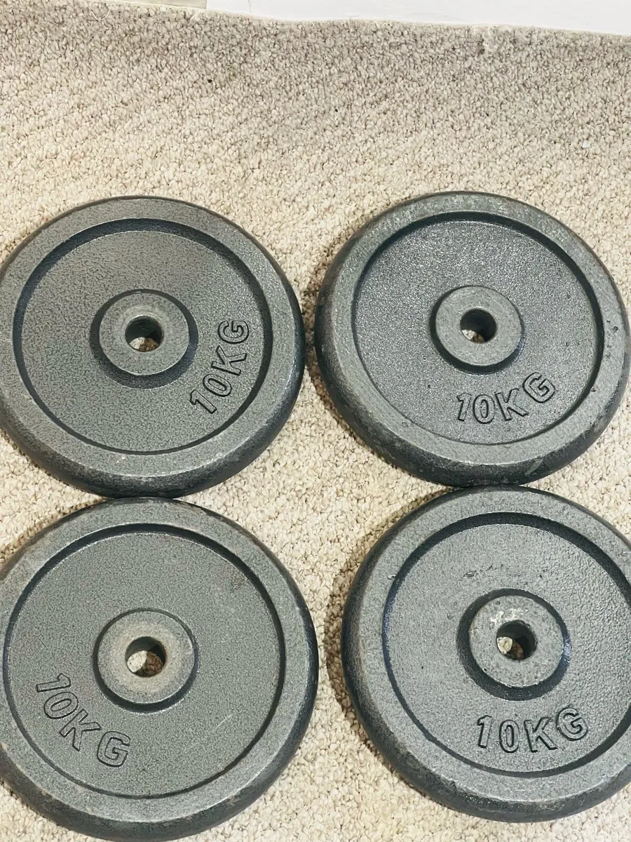 4 X 10 KG CAST IRON WEIGHTS - Image 1
