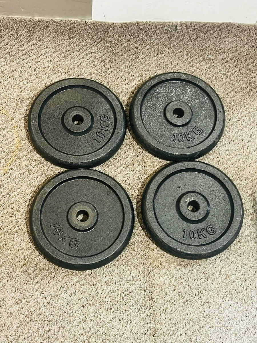4 X 10 KG CAST IRON WEIGHTS - Image 2