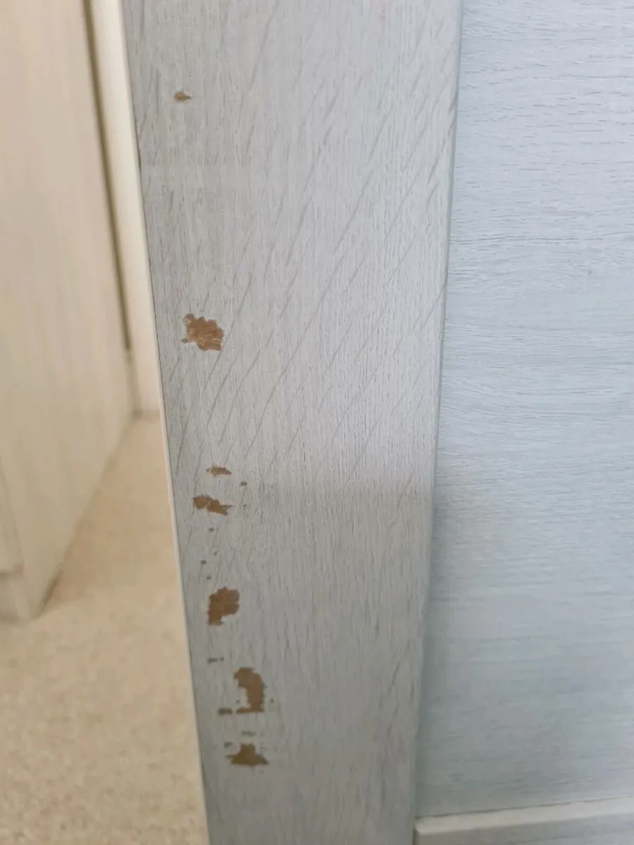 Cot - Image 3