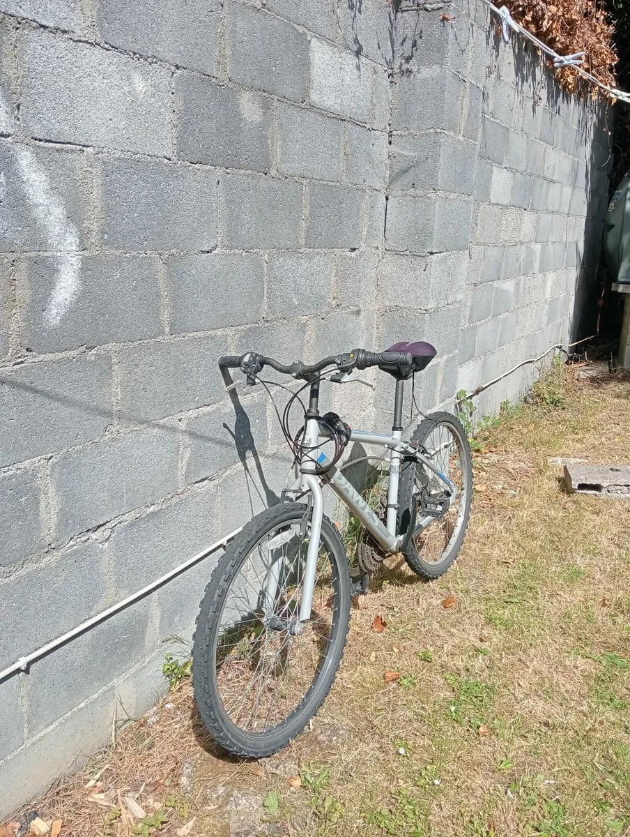 Bicycle - Image 2