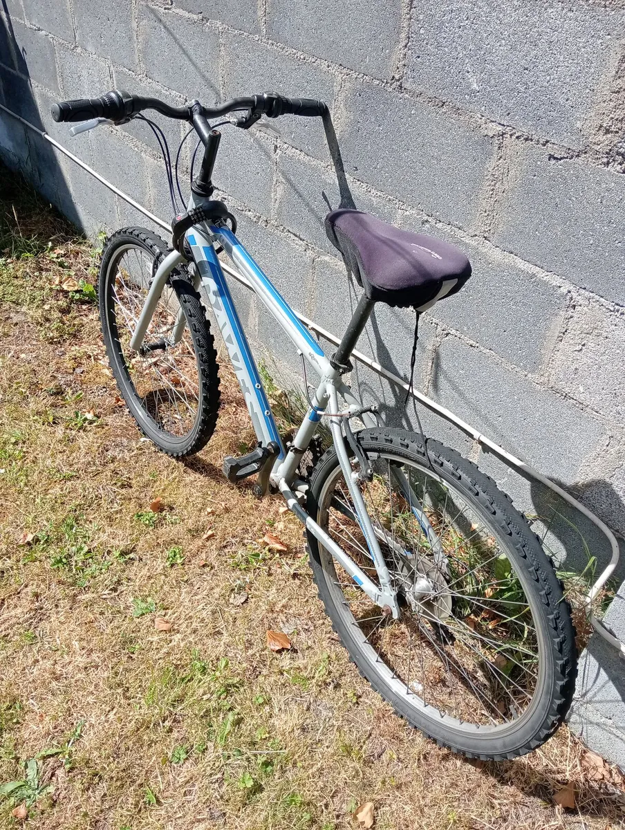Bicycle - Image 3
