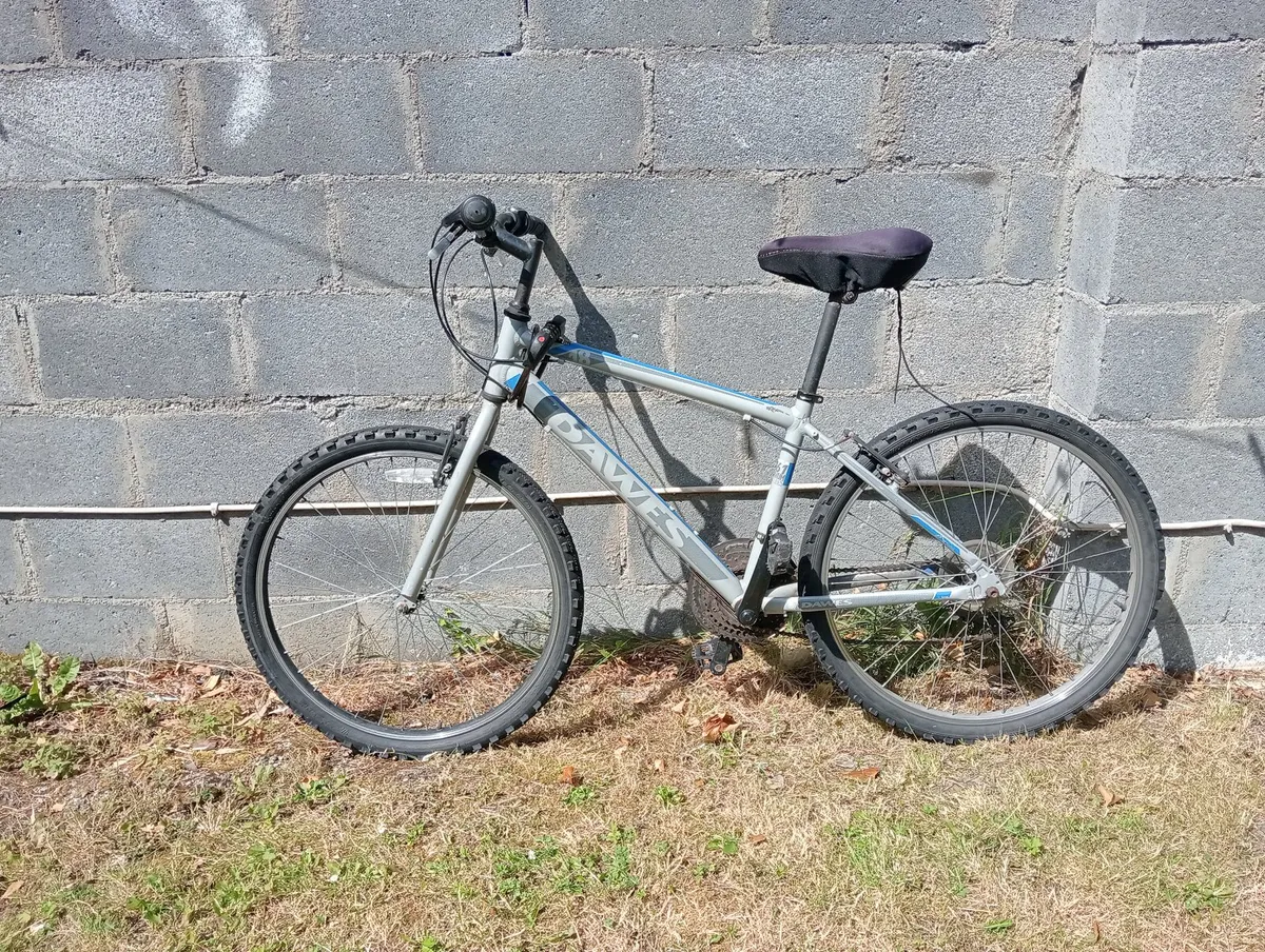 Bicycle - Image 4