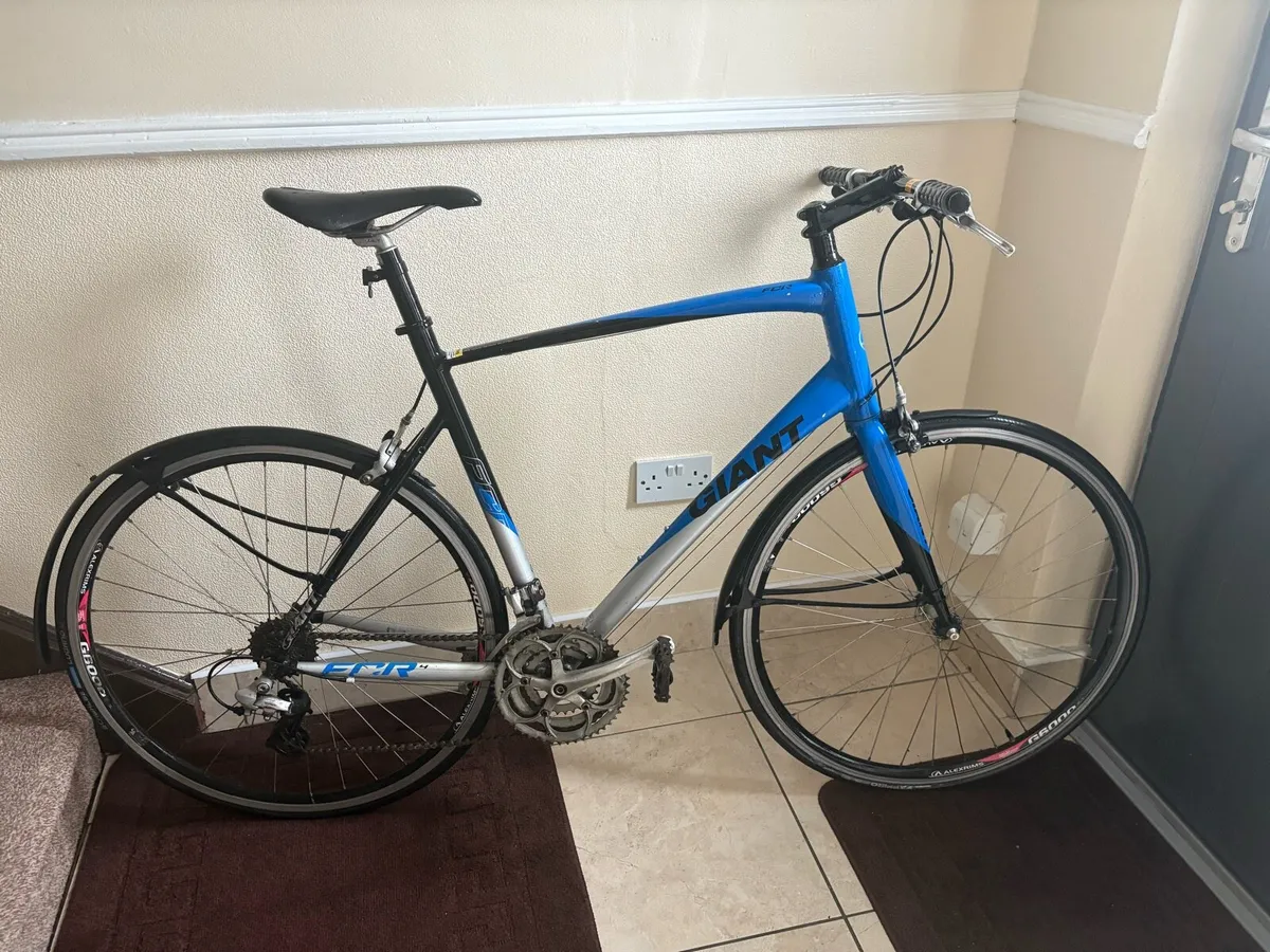 Giant Bike - Image 2