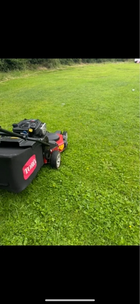 Toro Timemaster - Image 2