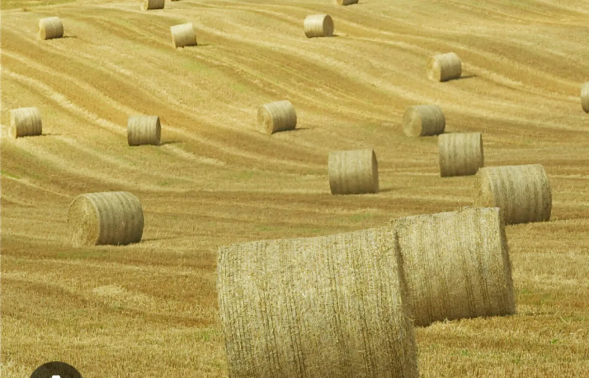 Straw