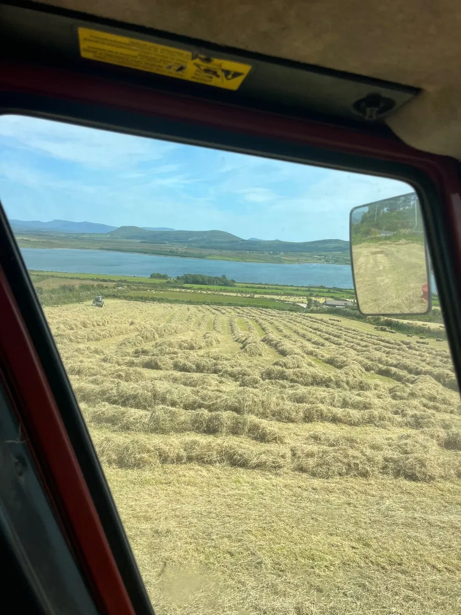 Square and round bales of hay for sale - Image 3