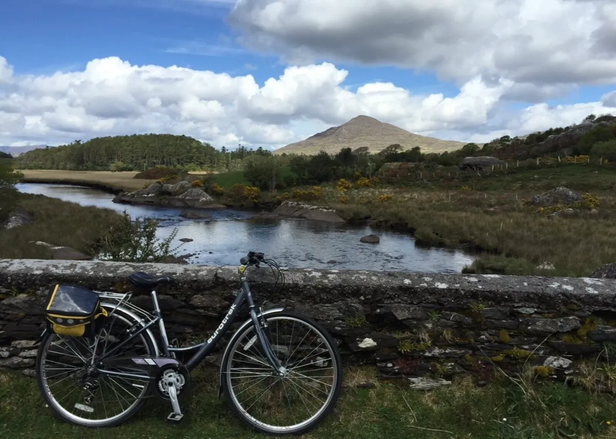 Ladies Bicycle - Image 1