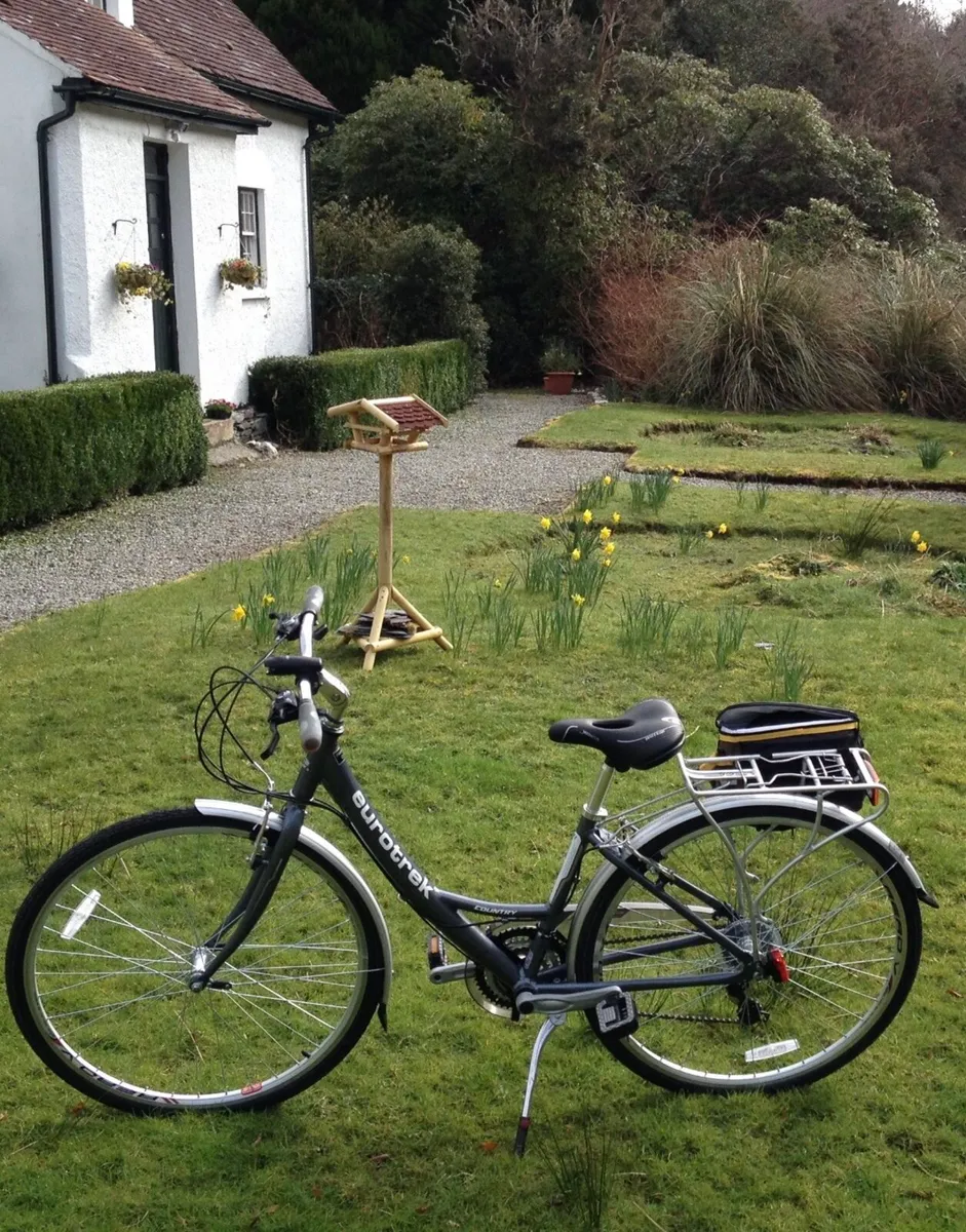 Ladies Bicycle - Image 3