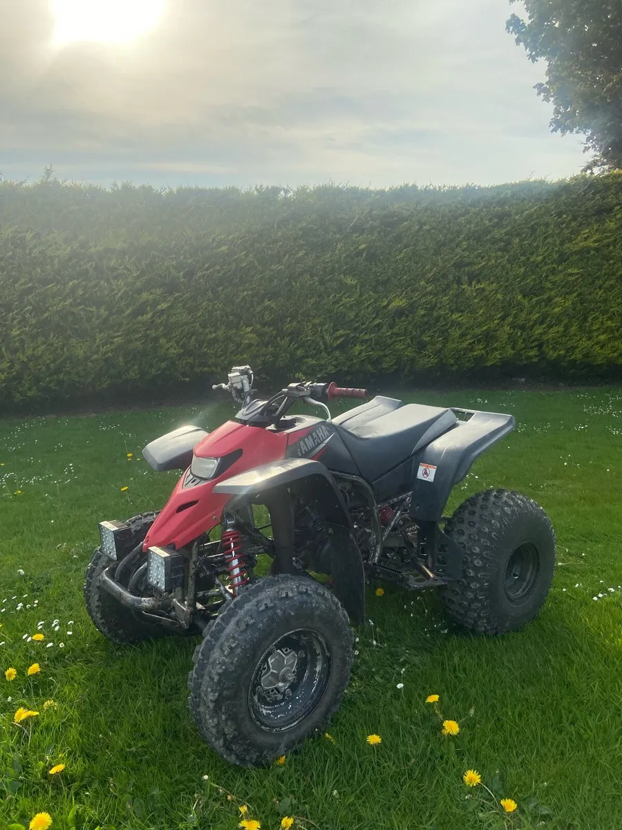Yamaha blaster - Image 2