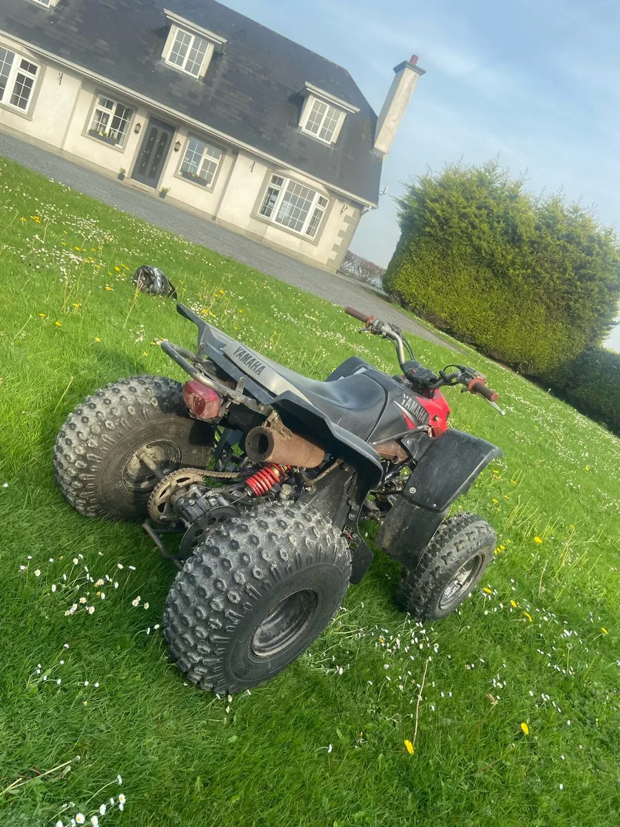 Yamaha blaster - Image 4