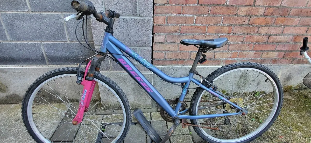 3 Cycle Free to go - Image 1