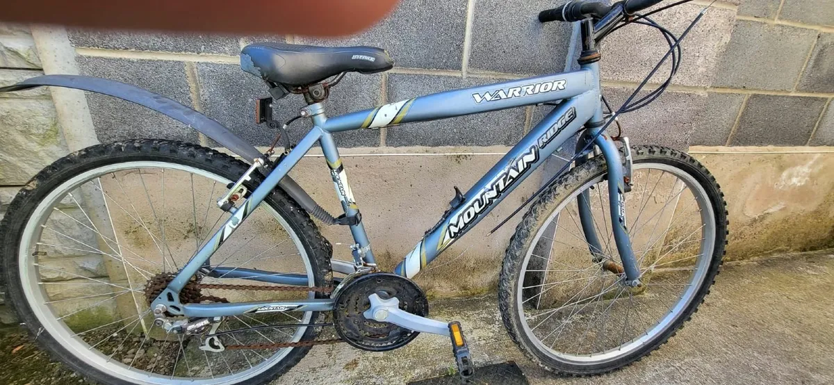 3 Cycle Free to go - Image 2