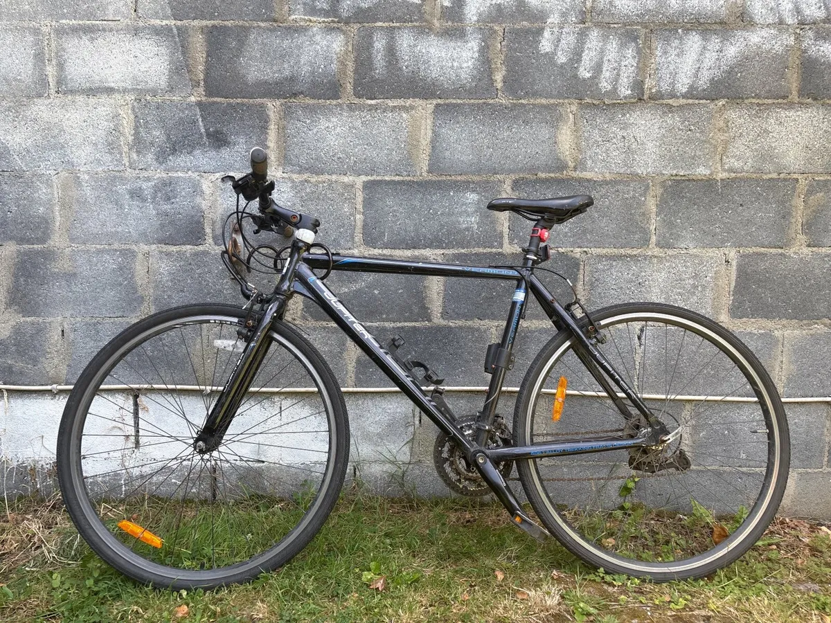 Adult bike