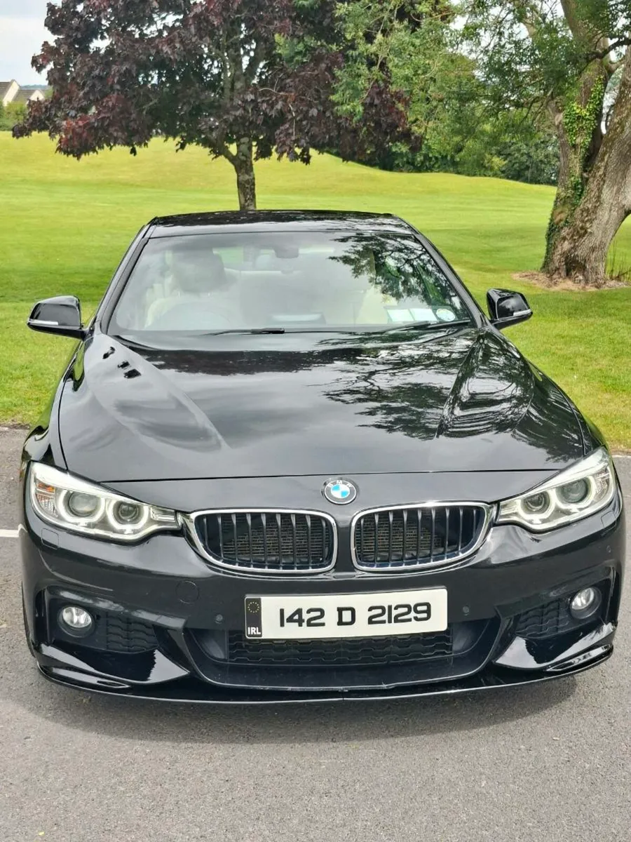 Bmw 420d m-sport 6speed manual - Image 2