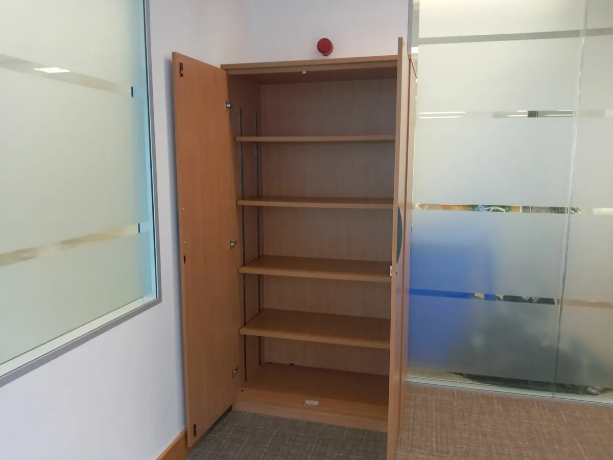 Delivery - Large Storage Cabinet for Sale - Image 4