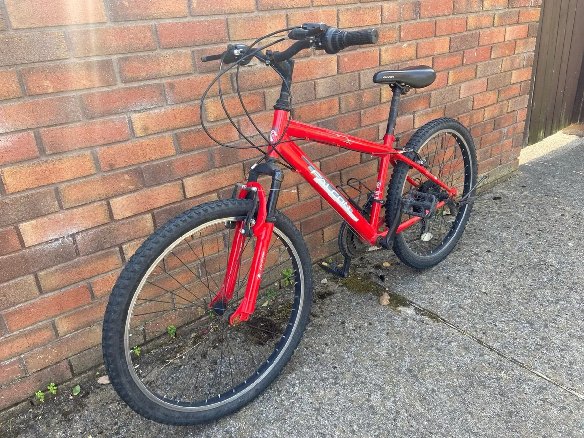 24 Inch Falcon Raptor kids bike - Image 1