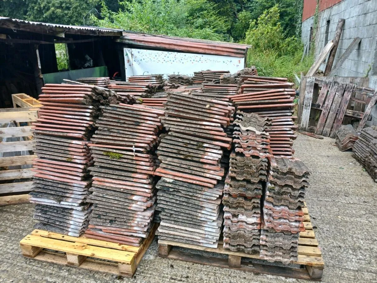Approx. 3000 tiles (best offer) - Image 1