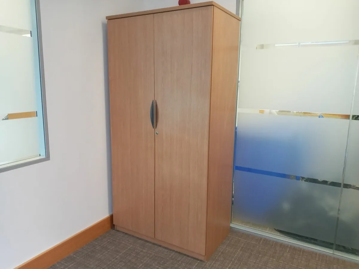 Delivery - Large Storage Cabinet for Sale - Image 1