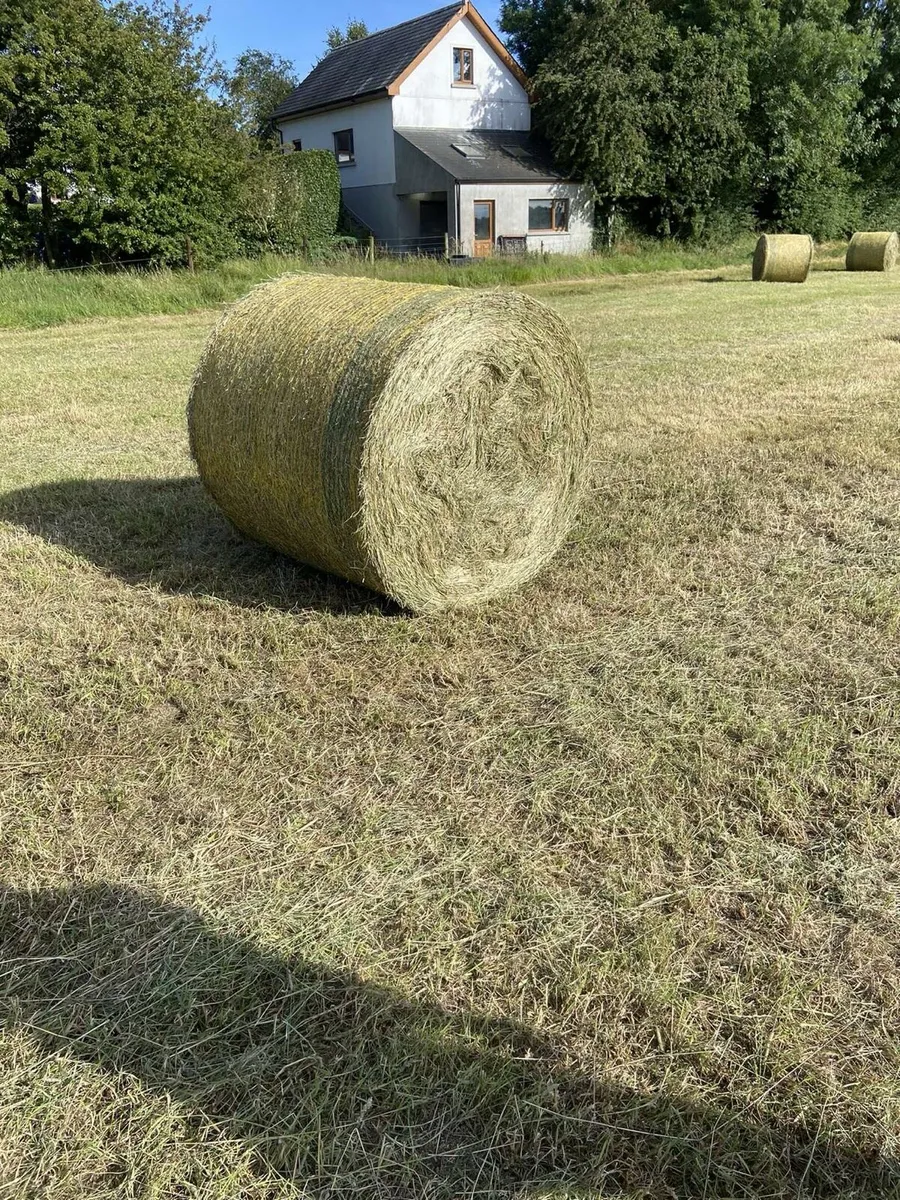 Hay 4x4 for sale - Image 1