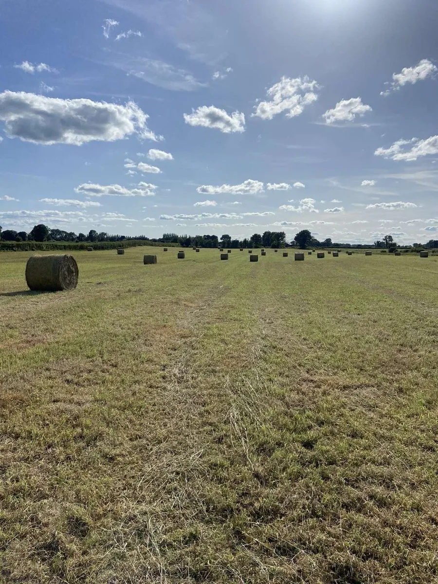 Hay 4x4 for sale - Image 2