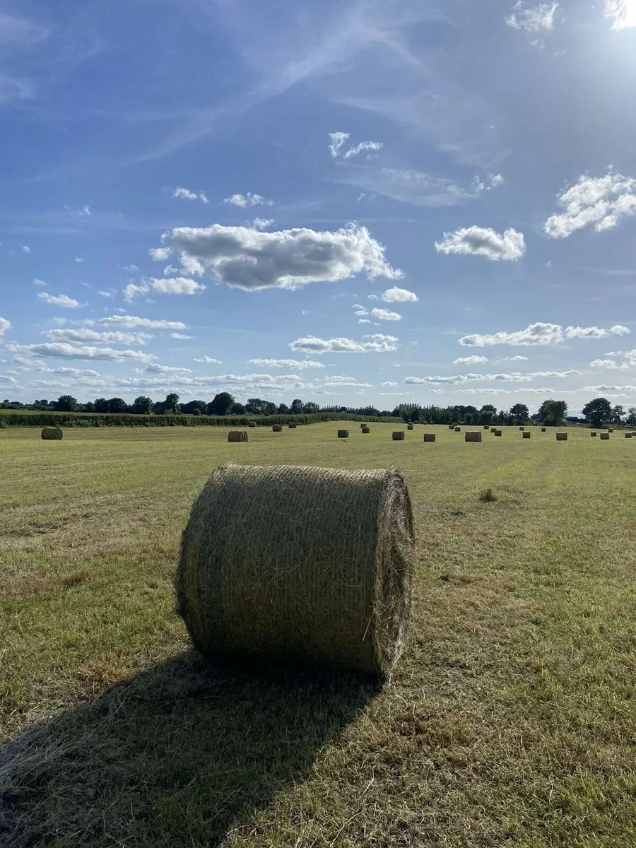 Hay 4x4 for sale - Image 3