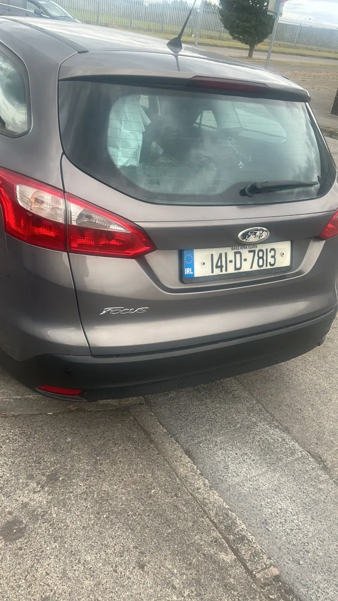 2014 focus - Image 2