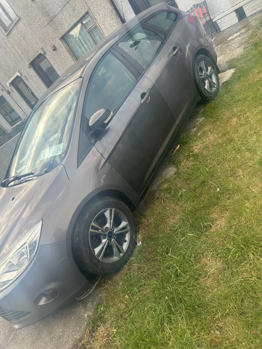 2014 focus - Image 4
