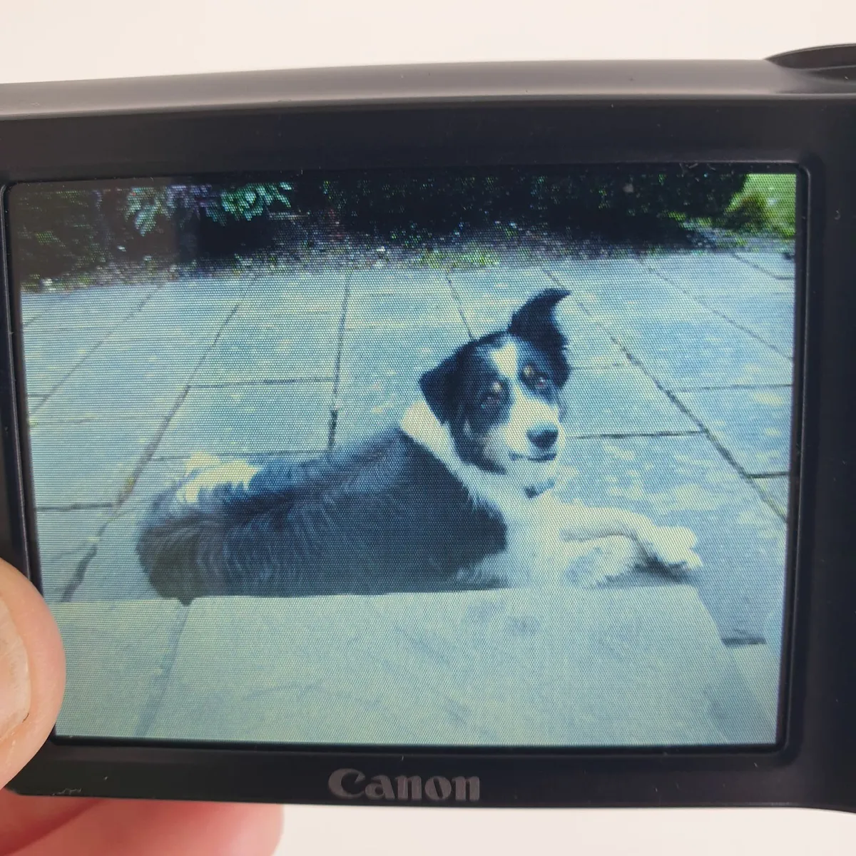 Canon PowerShot A2400 IS 16.0 MP camera - Image 4