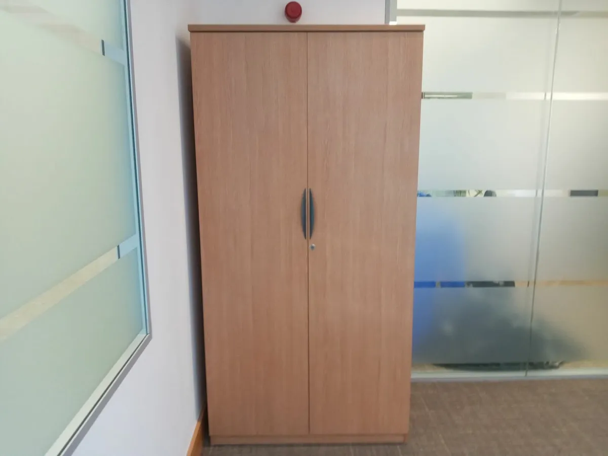 Delivery - Large Storage Cabinet for Sale - Image 2