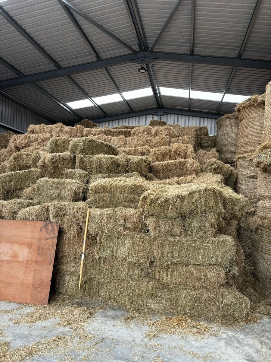 Small Square Hay Bales
