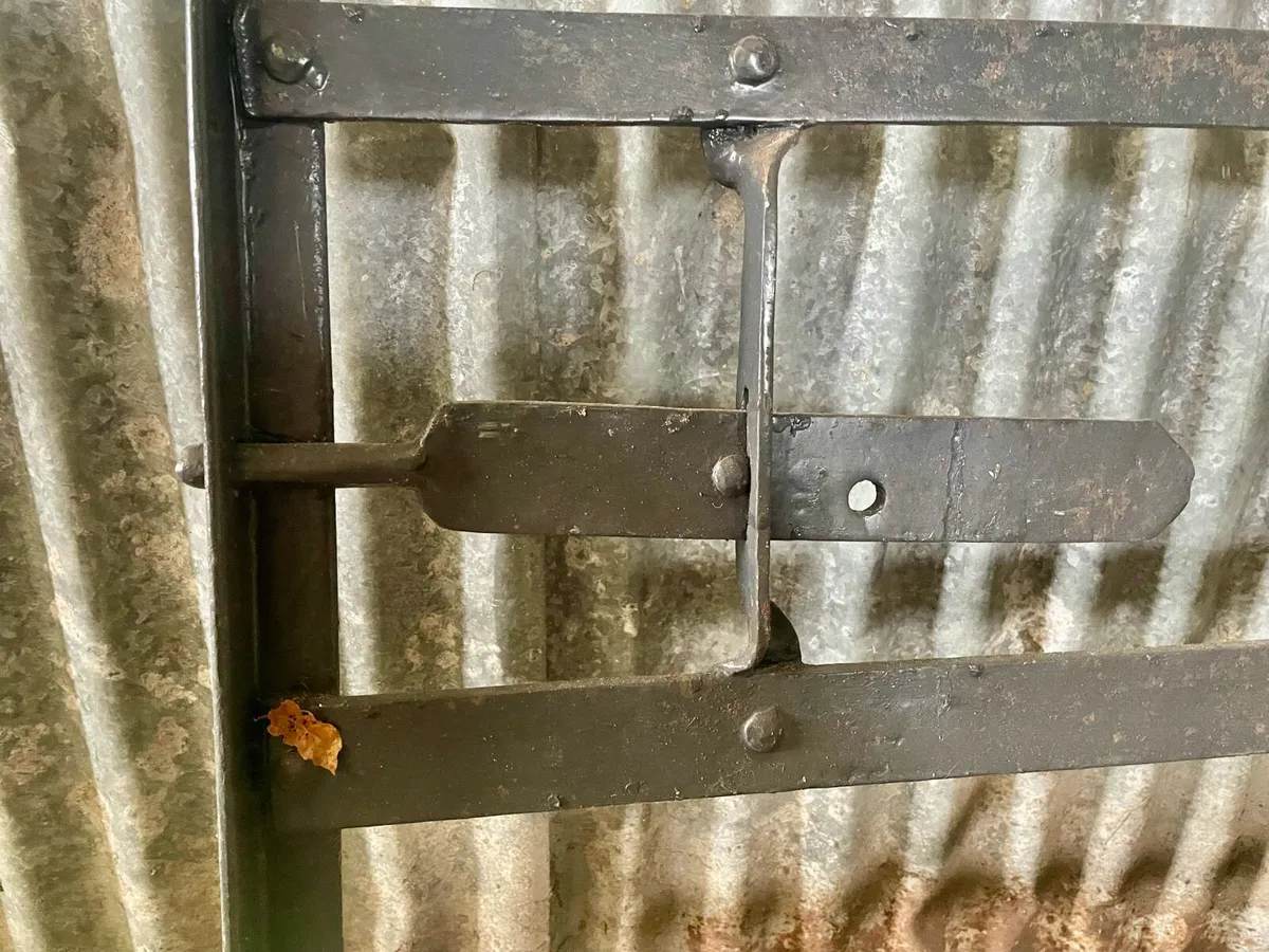 Antique gates - Image 3