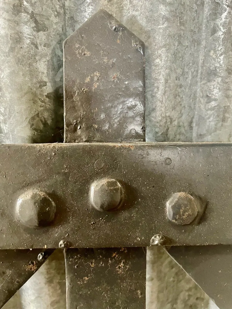 Antique gates - Image 4