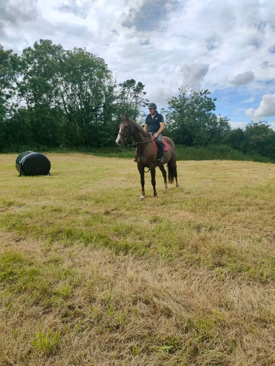 Happy Hacker 16.2hh - Image 3