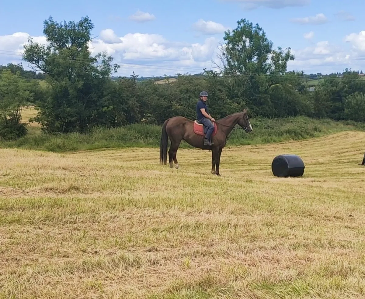 Happy Hacker 16.2hh - Image 4