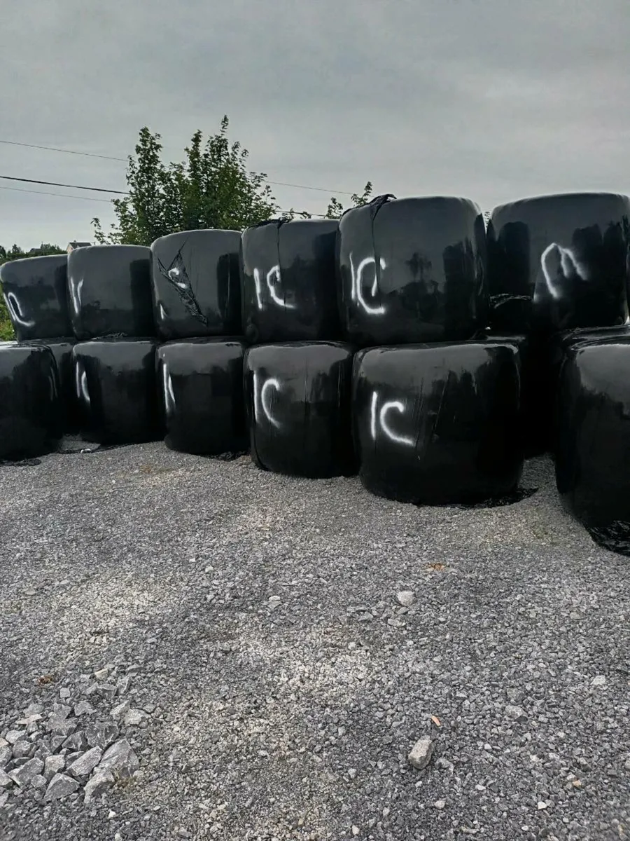 Silage - Image 1