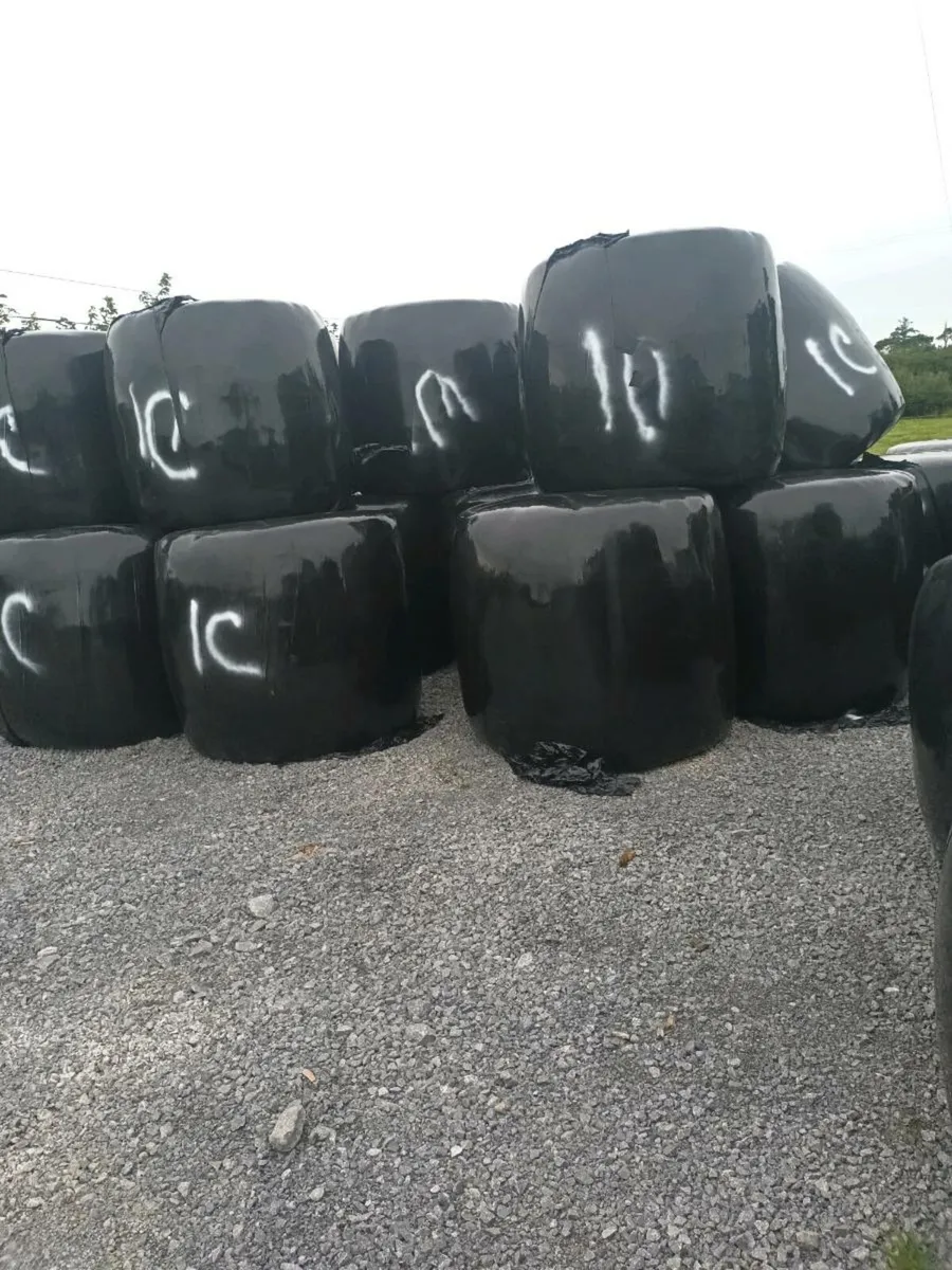 Silage - Image 2
