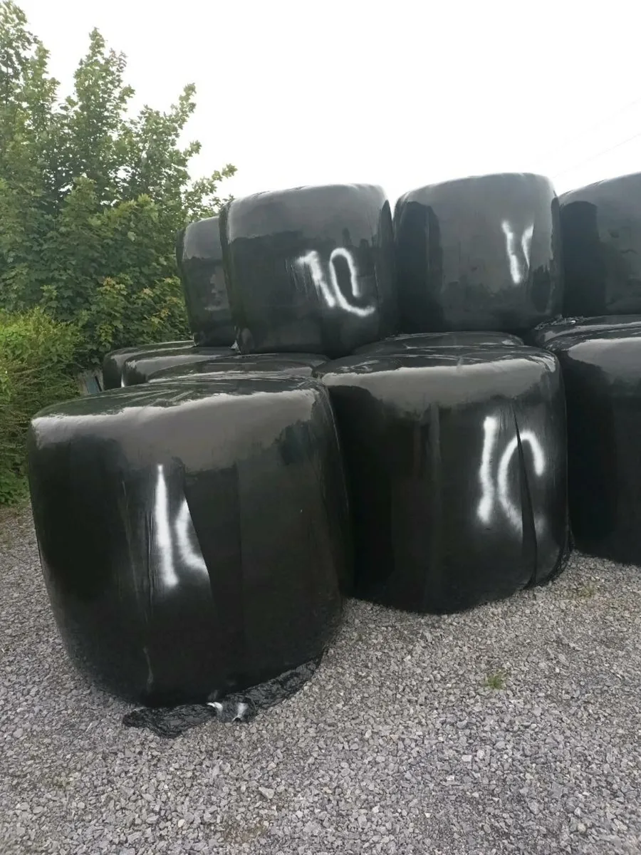 Silage - Image 3