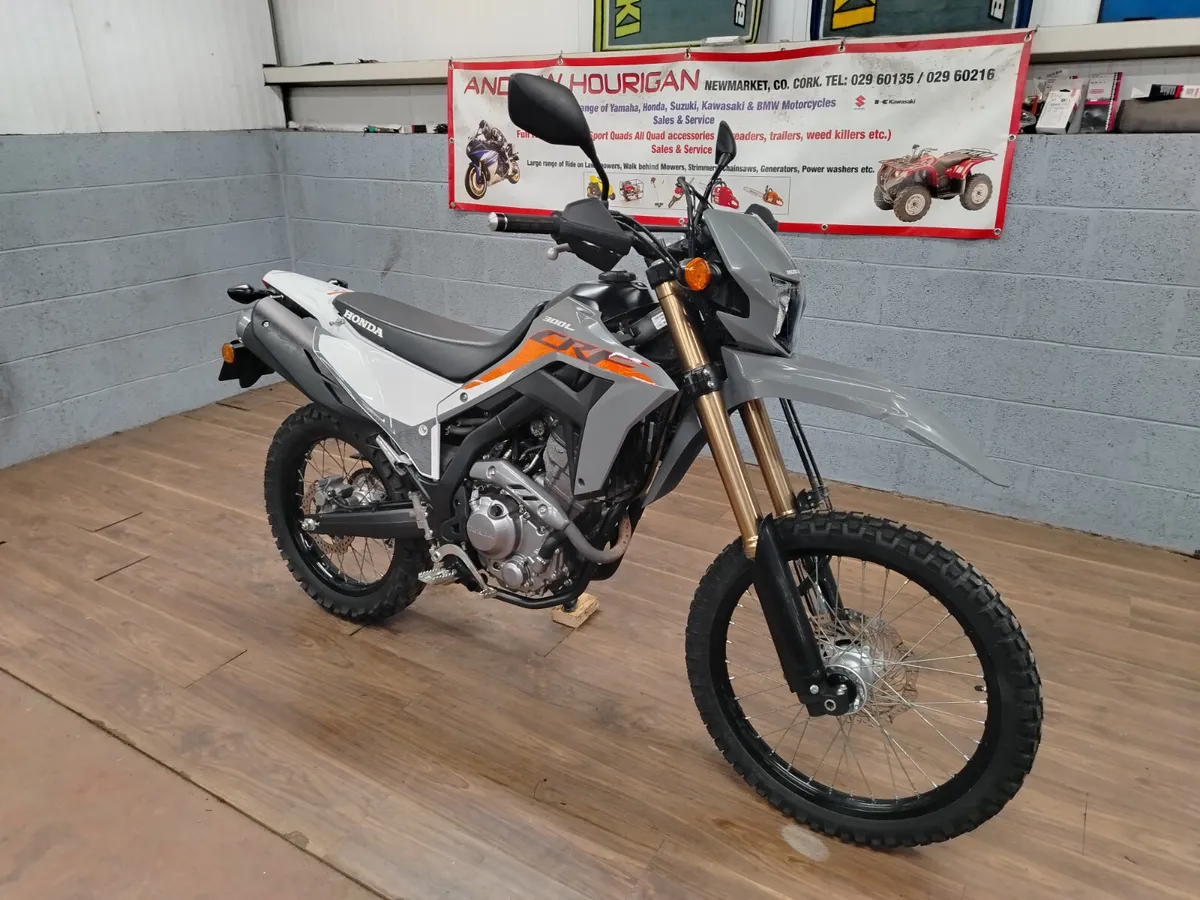Honda CRF300L - Image 3