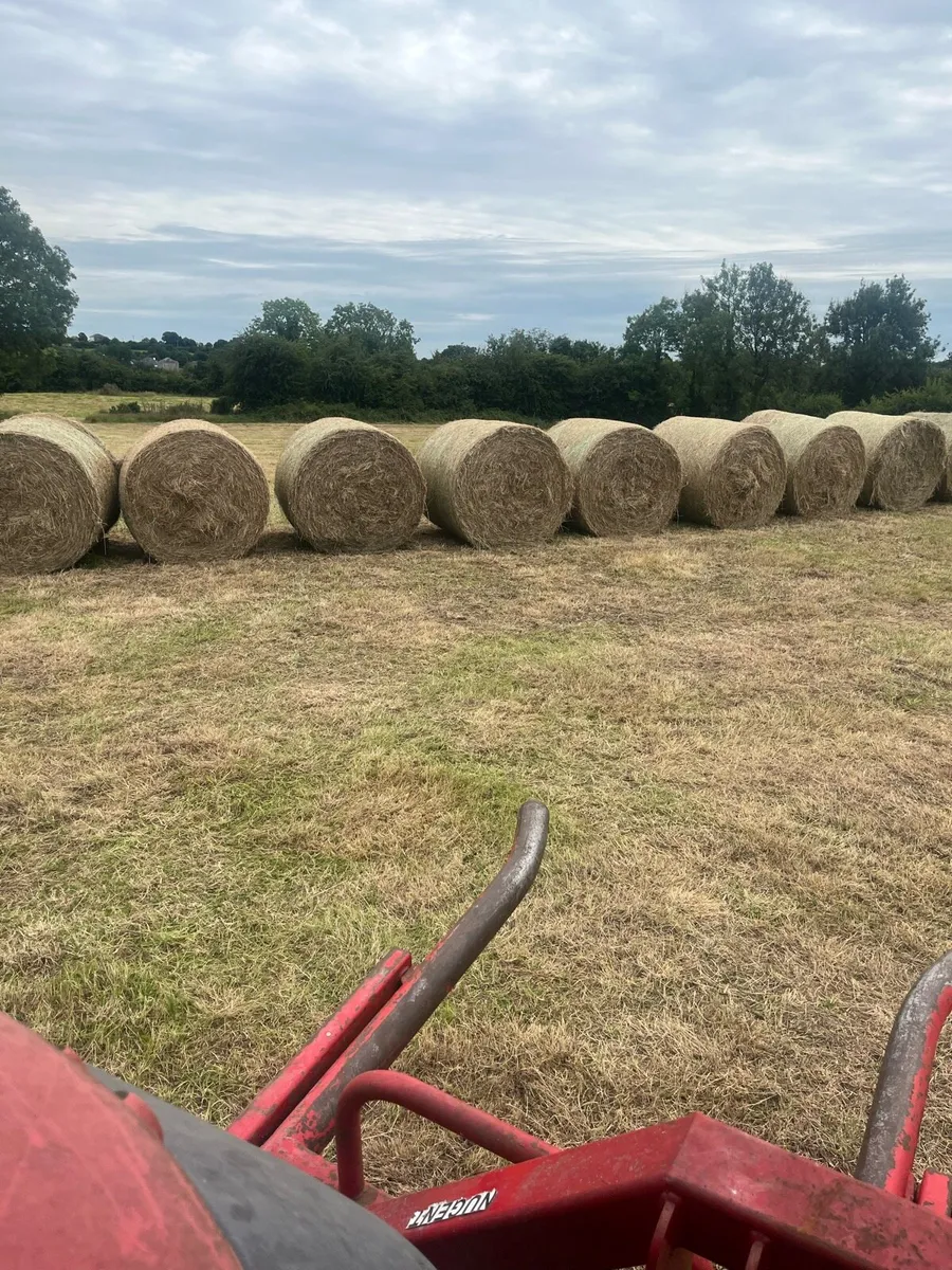 Hay - Image 1